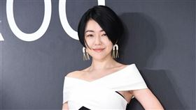 徐熙娣因喪姊之痛，先停工半年。（圖／資料照）