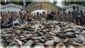 ▲（圖／翻攝自Thai PBS World）。（圖／周刊王提供） 