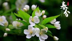 ▲（圖／翻攝自百度百科）