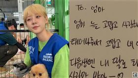 （圖／翻攝自《橫豎研究所》YouTube）