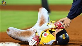 ▲中信兄弟游擊手張士綸，牽制回壘時「右肩脫臼」。（圖／中信兄弟提供）