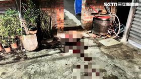 凶殺,兇殺,命案,刺殺,台中,龍井（圖／翻攝畫面）