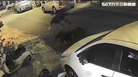 凶殺,兇殺,命案,刺殺,台中,龍井（圖／翻攝畫面）