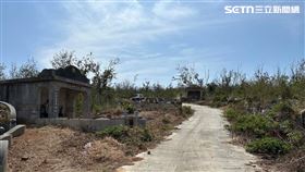 清明,掃墓,記者陳弘逸攝影