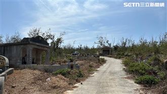 她掃墓突然失去意識　擲筊問出原因頭發麻