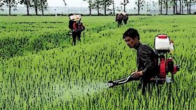 ▲ 東京理科大學研究團隊發現蜘蛛螨誘導因子能增強植物防禦反應，未來可應用於生物農藥開發，減少農藥使用，推動可持續農業發展。（圖／永續新聞網官網） 