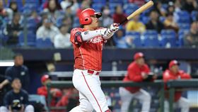 ▲陳子豪重返洲際棒球場打擊。（圖／味全龍提供） 