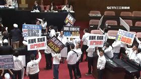 藍推公投反制罷免　綠委戴「罷免大成宮帽」杯葛