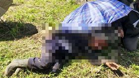 花蓮挖土機墜入邊坡，男性工人意識昏迷送醫。（圖／翻攝畫面）