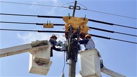 防鳥獸停電事故 台電摘除電力設施上鳥巢驚蟄開始的3、4月期間，是台電化身移巢大隊的關鍵時刻，2025年1、2月已摘除超過1200個築在電力設施上的鳥巢，避免衍生停電。（台電提供）中央社記者曾智怡傳真  114年3月5日