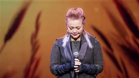 王芷蕾 金智娟 台視提供