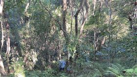 信義區豪宅命案，57歲楊姓屋主疑遭弟弟拋屍虎山，警方出動警犬、空拍機搜山，但一無所獲。（圖／翻攝畫面）