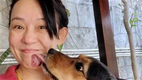 翁靜晶過去曾揭露多起佛門弊案。（圖／翻攝自翁靜晶IG）