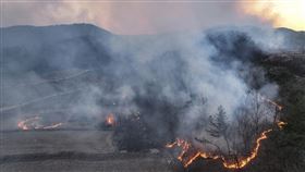 韓國野火4死6傷！至少燒掉7205個足球場　多地進入災難狀態。（圖／美聯社／達志影像）