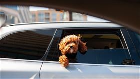 ▲三月尾聲心浮氣躁！出生年尾數1至5本週運勢出爐　桃花、財運、合約全要注意。（示意圖／PIXABAY）