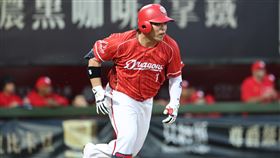 ▲味全龍重砲陳子豪。（圖／味全龍提供）