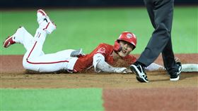 ▲味全龍內野手張政禹。（圖／味全龍提供）