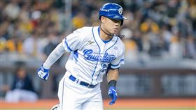 ▲申皓瑋熱身賽手感火燙。（圖／翻攝自富邦悍將臉書）