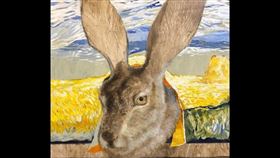 知名已故畫家曹登閎，非賣品畫作「兔子」遭竊。（圖／翻攝曹登雄臉書）