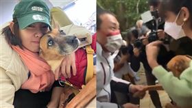 米可白、侯友宜。（圖／翻攝自米可白臉書、IG）