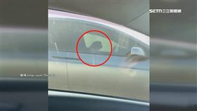 電動車疑開輔助系統！駕駛國道開車「睡著了」