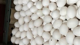 確保春節雞蛋正常鋪貨  產業自擬配套方案農業部表示，產業界為確保春節雞蛋鋪貨正常，提議增購商用塑膠箱，即可盛裝200顆、20台斤重的規格，預先放置到各蛋雞場，方便運輸業者取貨、運輸。中央社記者楊淑閔攝  114年1月1日