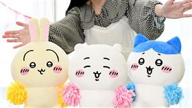 全台首發的12吋吉伊卡哇啦啦隊。（圖／品牌業者提供）