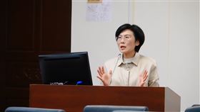 確保能源安全穩定！林岱樺籲：應持續支持台電綜合電業模式（業配勿用）