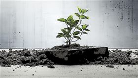 ▲ 西北大學科學家開發創新技術，利用海水與電能將 CO₂ 轉化為建材，助力建築業實現碳封存。（圖／永續新聞網官網） 