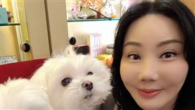 沈嶸（圖／財團法人流浪動物之家基金會提供）