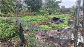 沈男欠繳牌照稅等高達691筆，宜蘭礁溪菜園將被法拍。（圖／翻攝畫面）