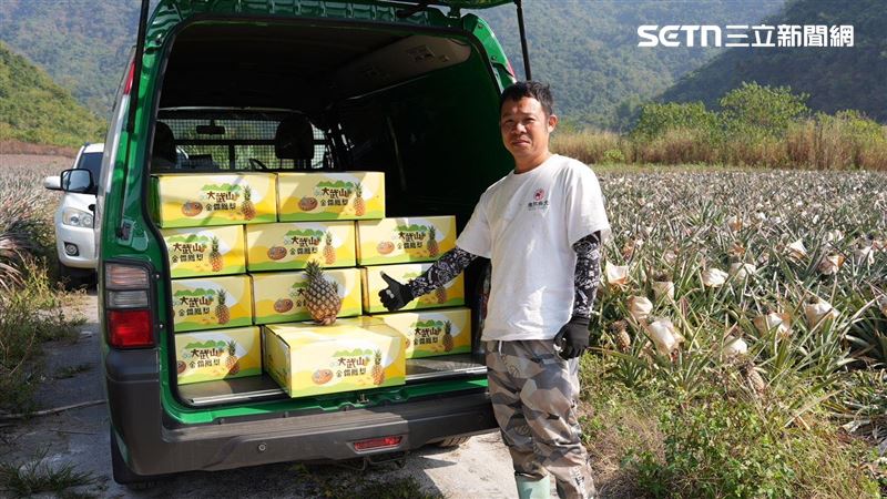 屏東郵局挺鳳梨農:買1箱捐10元做公益!