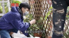 更生少年協會扶助迷途少年　點亮未來希望