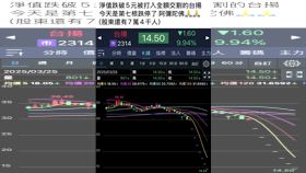  ▲台揚連七跌停股民哀嚎。（圖／翻攝臉書社團當沖勒戒所）