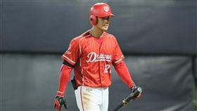 ▲曾聖安期許自己可以成為具有破壞力的打者。（圖／味全龍提供） 