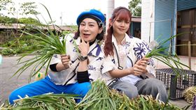 王彩樺和庭庭組合摘整白頭韭菜挑戰。（圖／三立提供）