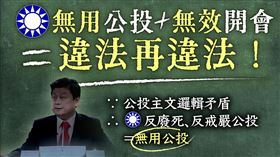 民進黨今（26）天表示，無用公投＋無效開會＝違法再違法，國民黨毫無法學素養成國會笑話！（圖／翻攝自民主進步黨臉書）

