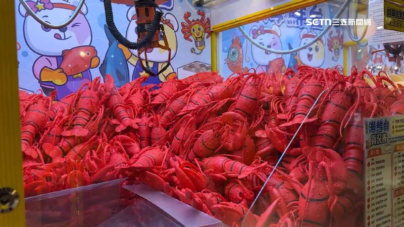 標榜10元夾龍蝦　娃娃機業者：穩賺不賠