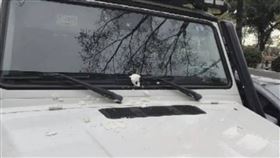 大陸深圳,男童,濕紙巾,轎車,引擎蓋,維修費（圖／翻攝自微博）