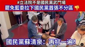 ▲林楚茵披露，蘇清泉不但罵人肖仔，更喊出再打一遍（圖／翻攝自林楚茵threads）