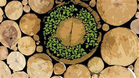 ▲ 突破傳統建材，天然建材在結構、環保與美學上的多重優勢正引領建築業的革新。 （圖／永續新聞網官網） 