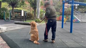 獨／新手狗飼主找訓犬師　控管教方式暴力
