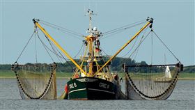 ▲捕魚。（圖／翻攝自Pixabay） 