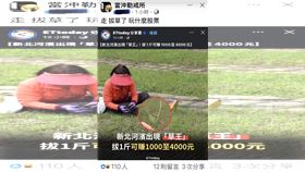 ▲台股重挫４００點，網友揪拔草比炒股還賺。（圖／翻攝自臉書當沖勒戒所）