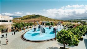 「變身吧！鸚鸚！」屏東海生館兒童連假FUN玩趣　五大亮點一次推出！（業配勿用）