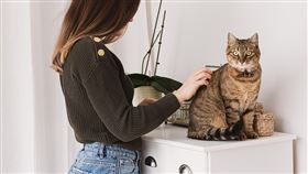 ▲印度毛孩經濟崛起，愈來愈多中產階級印度人飼養寵物，帶動寵物相關產業成長。（示意圖／PIXABAY）