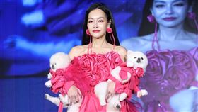 王思佳帶兩隻愛犬走秀。（圖／記者鄭孟晃攝影）