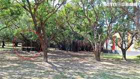 婦人被民眾發現陳屍衛武營樹下，女兒到場認屍崩潰。（圖／翻攝畫面）