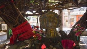 ▲榕樹就位在保安宮旁邊（圖／翻攝自交通部觀光署官網）