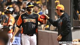 ▲中職36年開幕戰，統一獅一壘手林培緯安打送回林安可。（圖／記者劉彥池攝影）